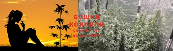 СК Вязьма