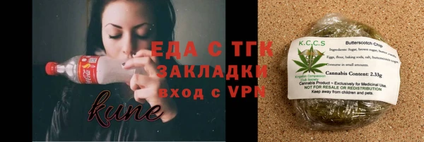 СК Вязьма