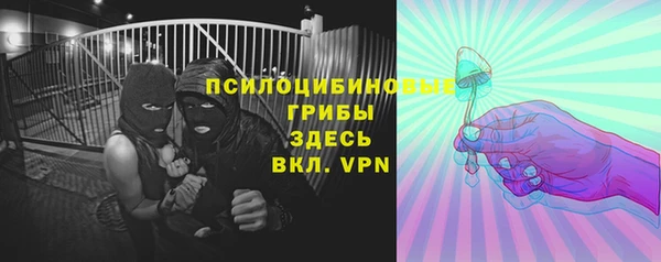 ГАЛЛЮЦИНОГЕННЫЕ ГРИБЫ Вязники