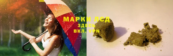 СК Вязьма