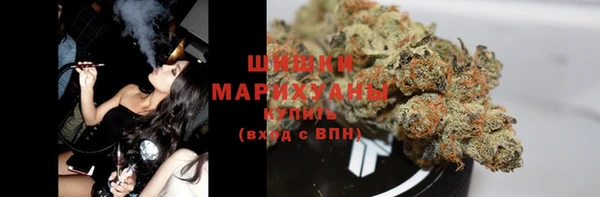 СК Вязьма