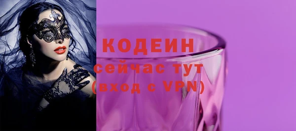 СК Вязьма
