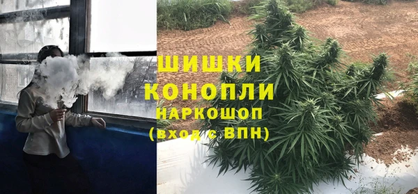 СК Вязьма