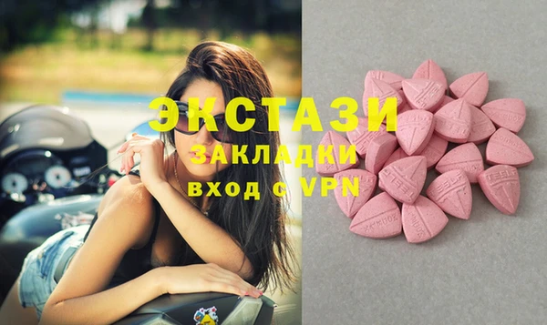 СК Вязьма