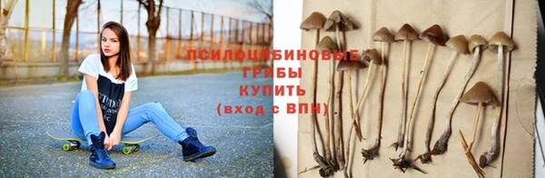 СК Вязьма