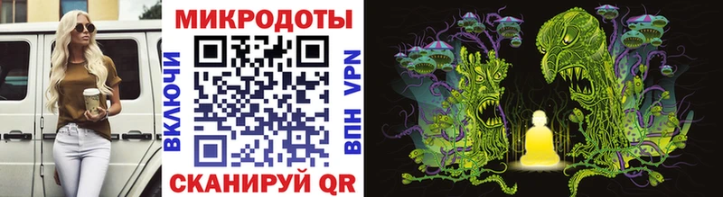 Псилоцибиновые грибы Psilocybine cubensis  Гусиноозёрск 